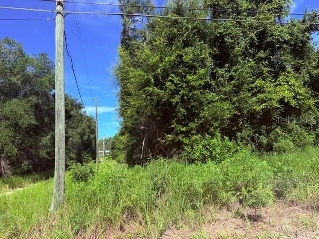NE 249TH COURT Salt Springs, FL 32134
