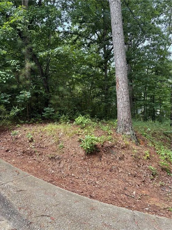 31 Weaver Street Buchanan, GA 30113