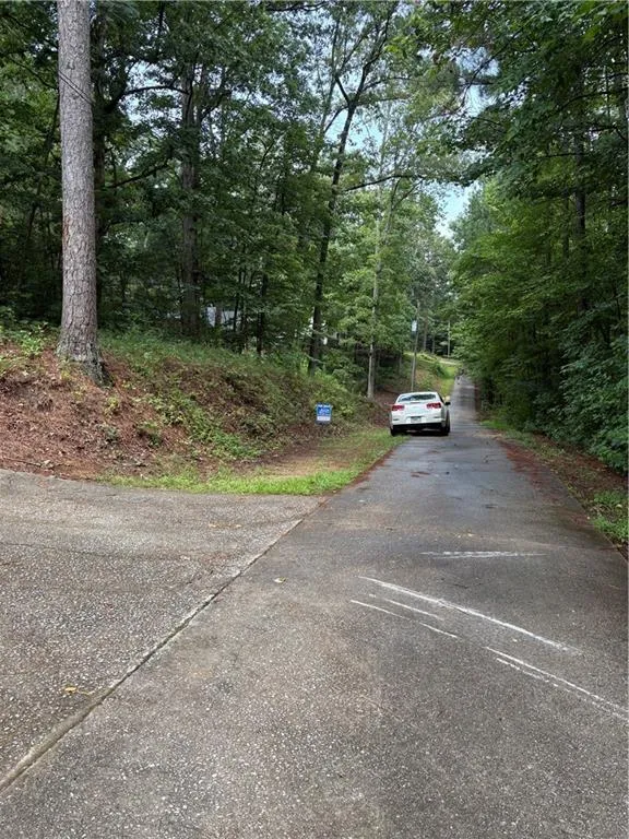31 Weaver Street Buchanan, GA 30113