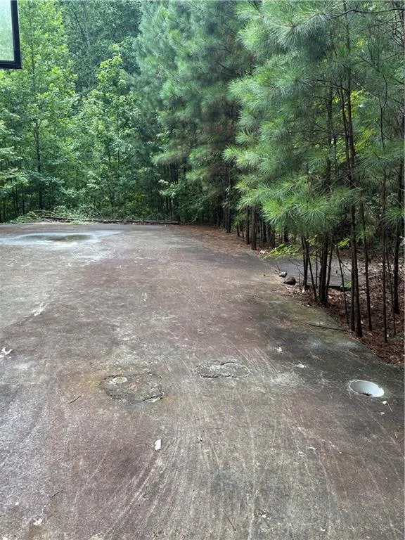31 Weaver Street Buchanan, GA 30113