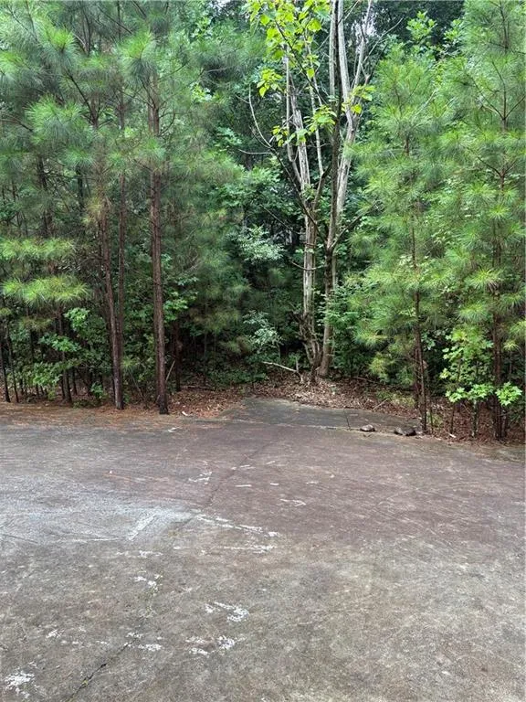 31 Weaver Street Buchanan, GA 30113