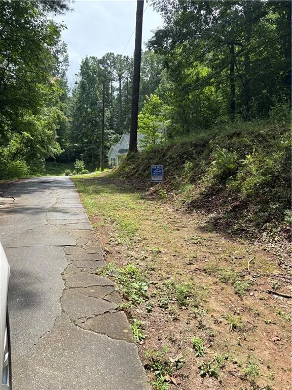 31 Weaver Street Buchanan, GA 30113