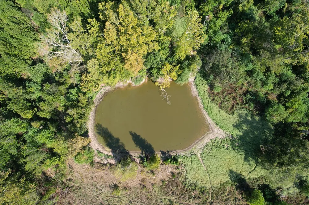 879 Cr 3390 Crockett, TX 75835