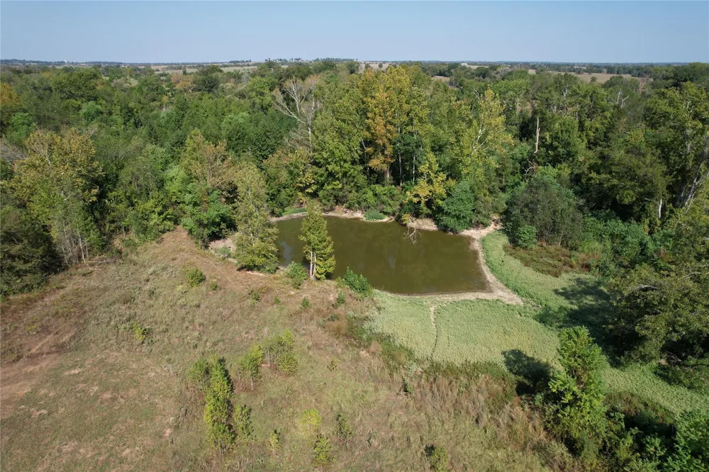 879 Cr 3390 Crockett, TX 75835
