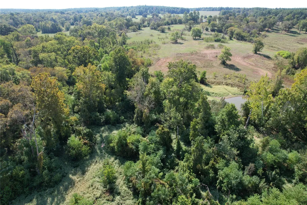 879 Cr 3390 Crockett, TX 75835