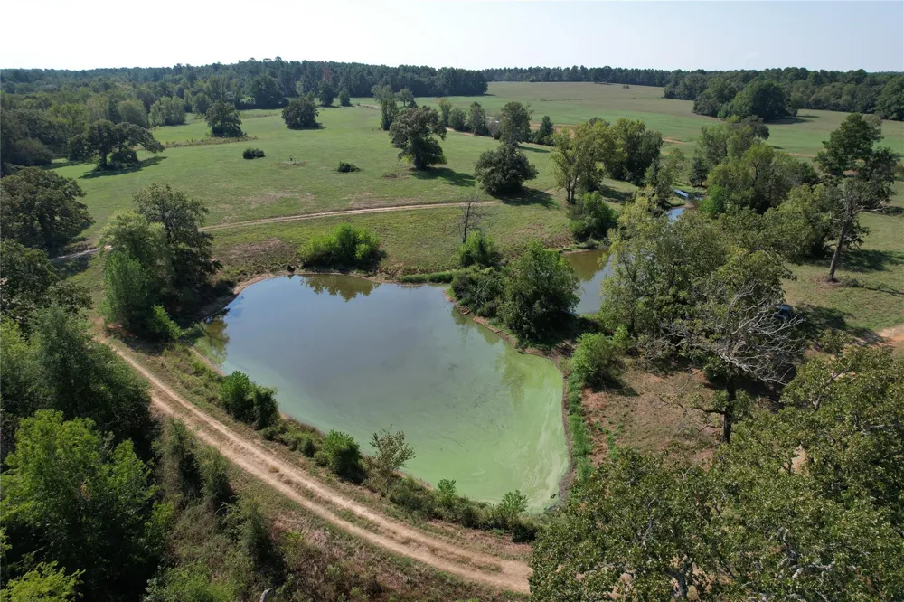 879 Cr 3390 Crockett, TX 75835