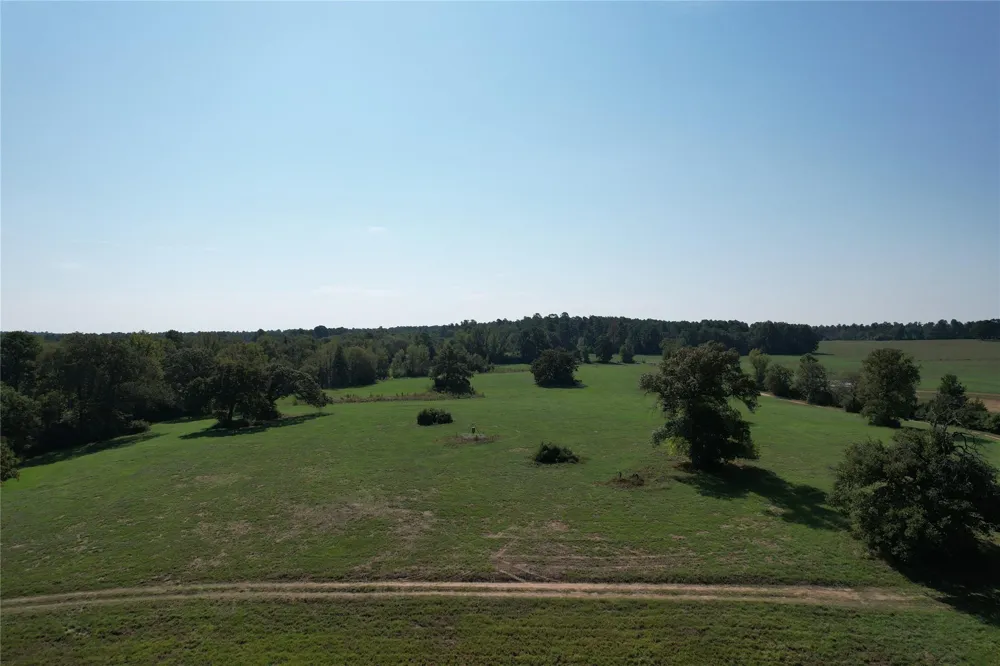 879 Cr 3390 Crockett, TX 75835