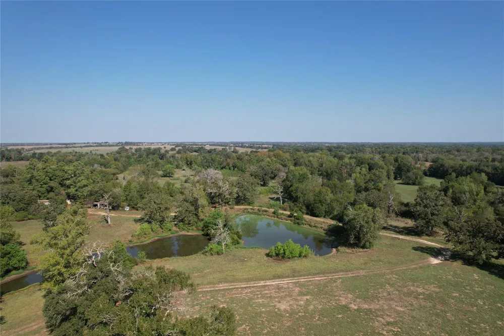 879 Cr 3390 Crockett, TX 75835