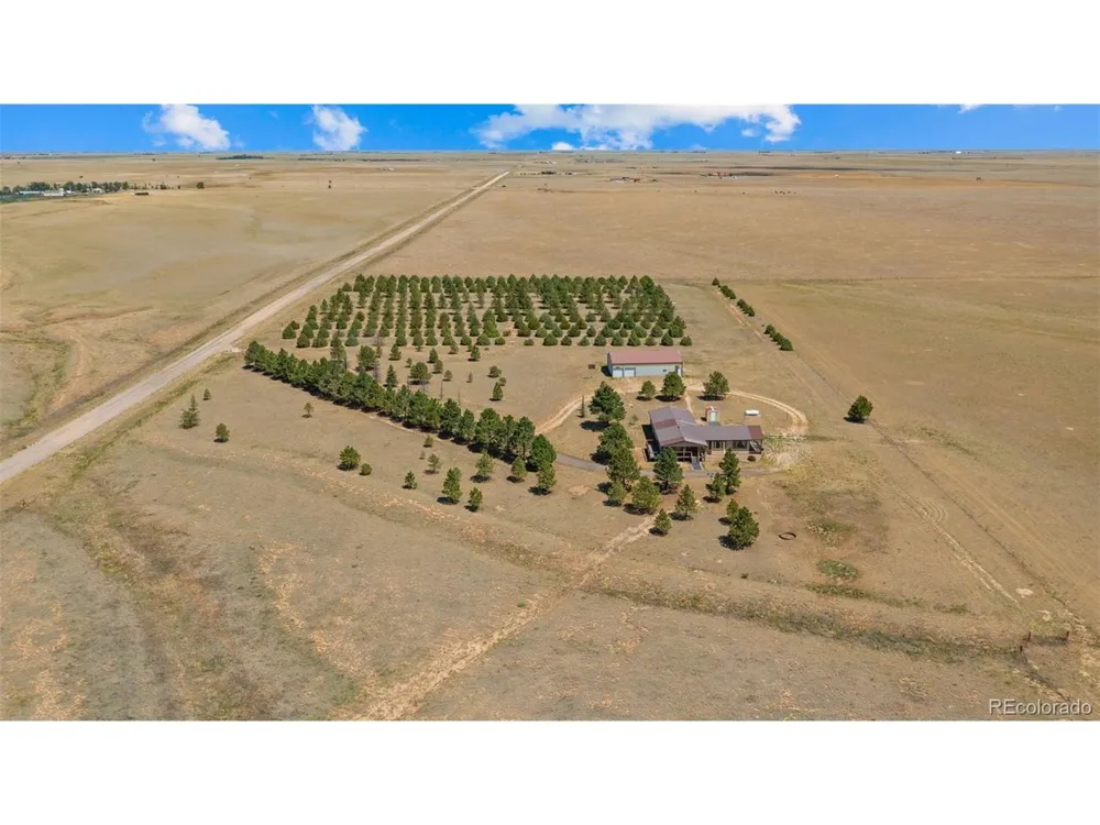 20402 County Road 2 Rush, CO 80833