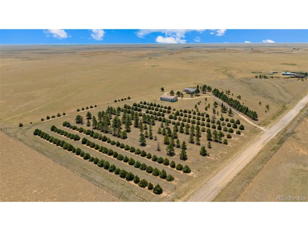 20402 County Road 2 Rush, CO 80833