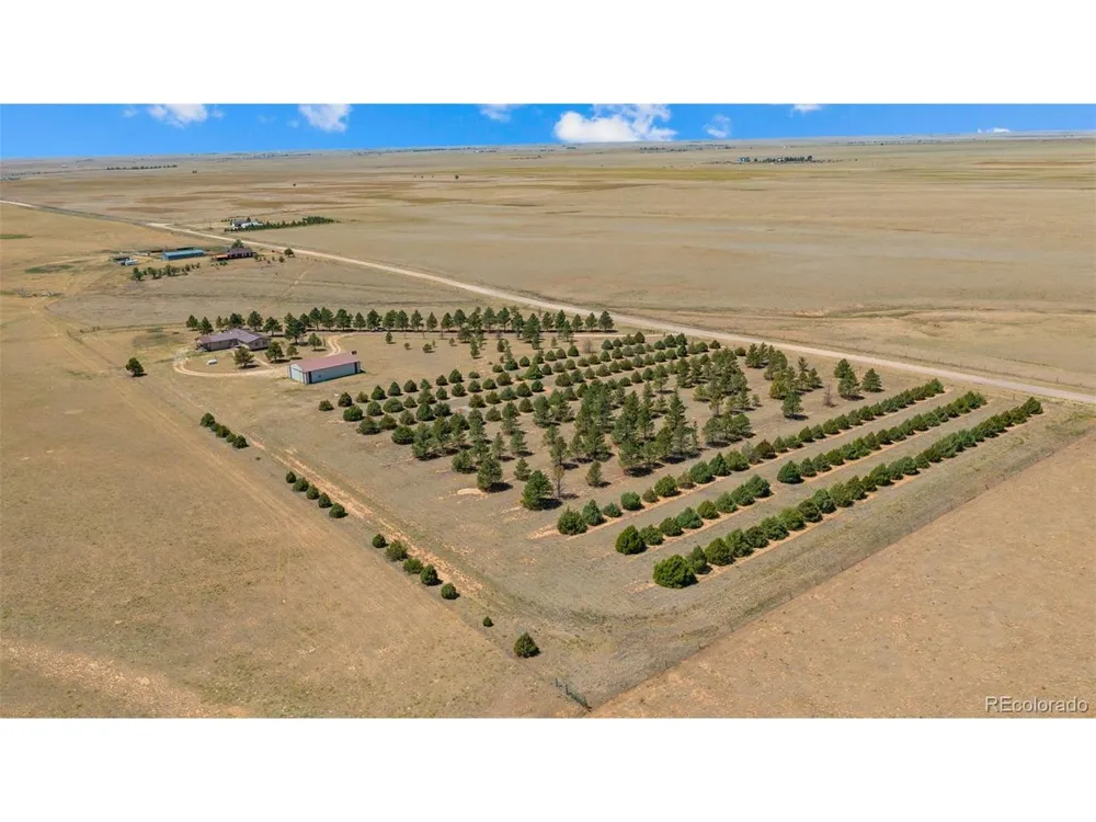 20402 County Road 2 Rush, CO 80833