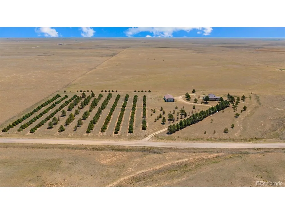 20402 County Road 2 Rush, CO 80833