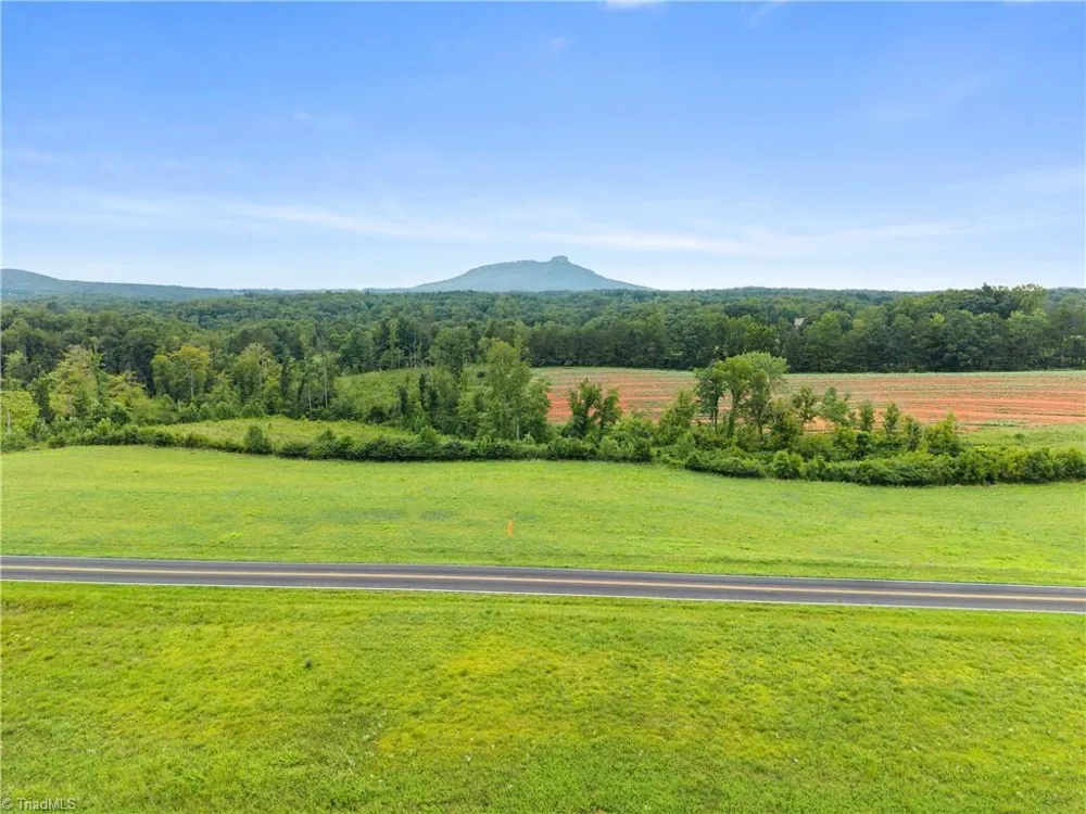 0 Hauser Road Pinnacle, NC 27043