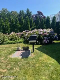 317 Pitney Avenue Spring Lake, NJ 07762