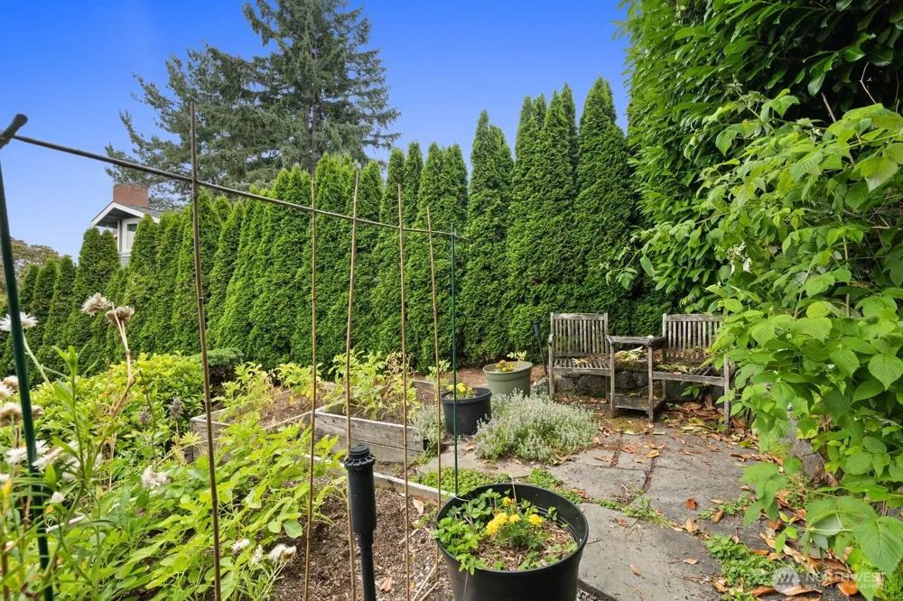 1525 36th Avenue S Seattle, WA 98144