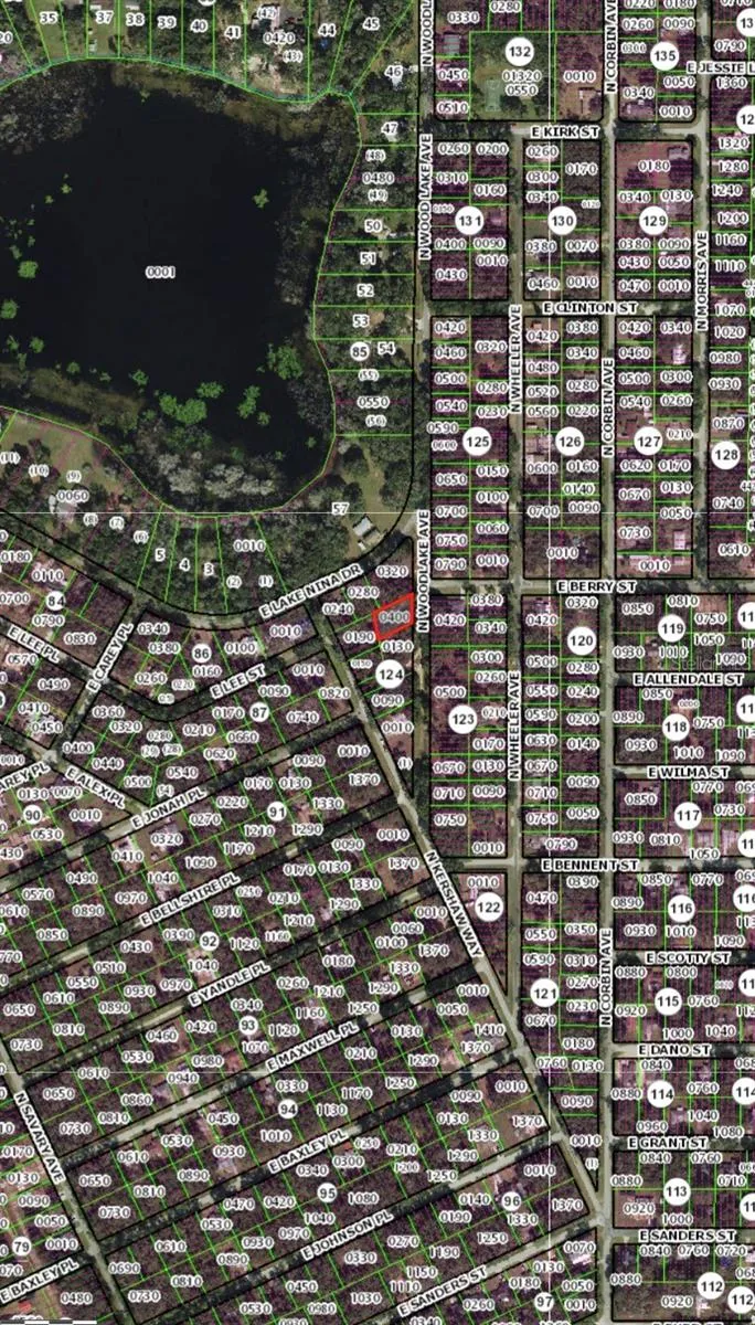 408 WOODLAKE AVENUE Inverness, FL 34453