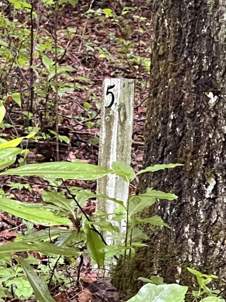 Highlands Pass Franklin, NC 28734