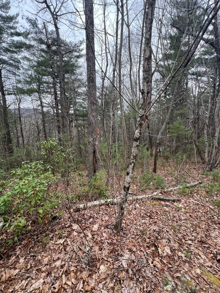Eagles View Highlands, NC 28741