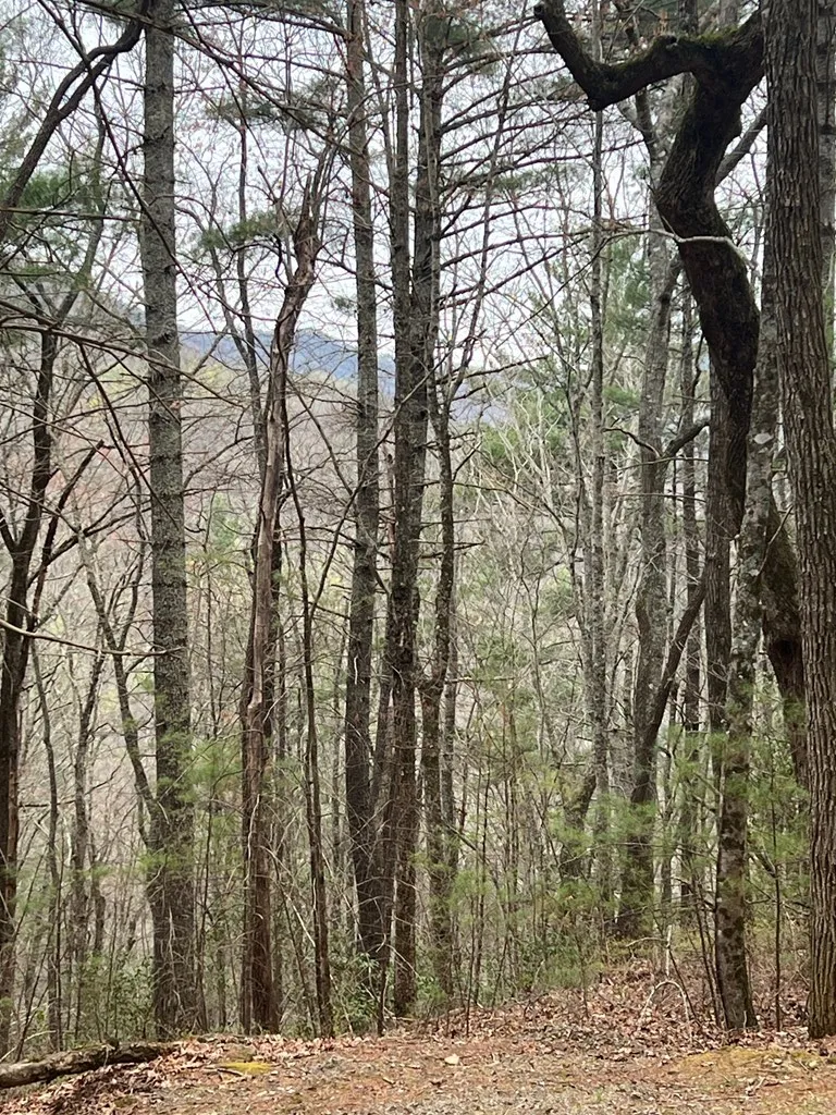 Eagles View Highlands, NC 28741