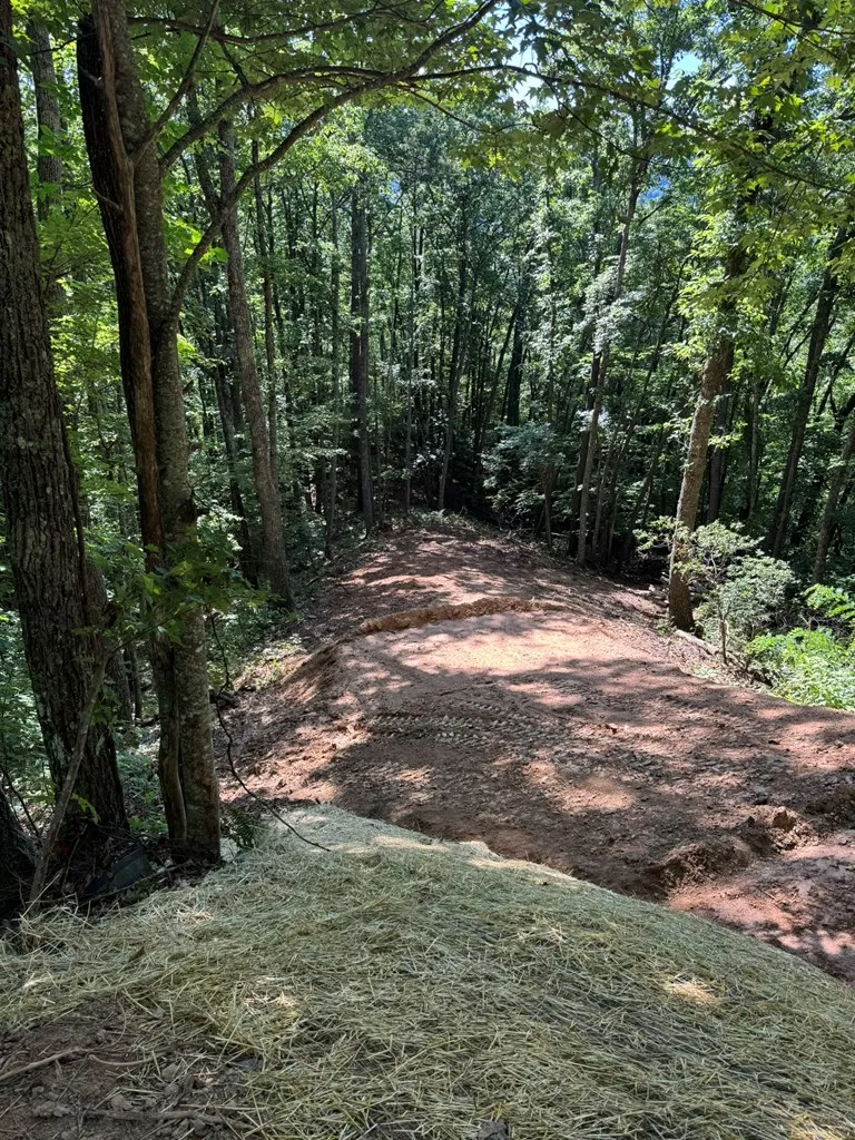 Hosta Dr Sylva, NC 28779