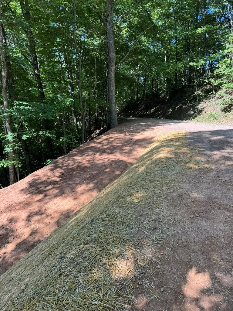 Hosta Dr Sylva, NC 28779