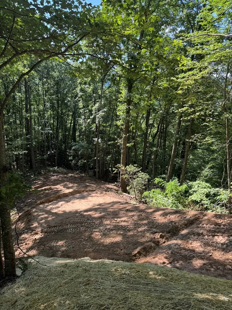 Hosta Dr Sylva, NC 28779