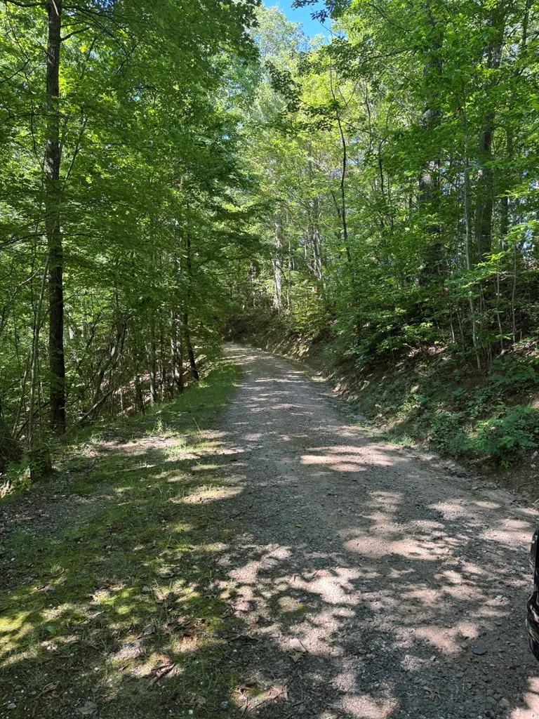 Hosta Dr Sylva, NC 28779