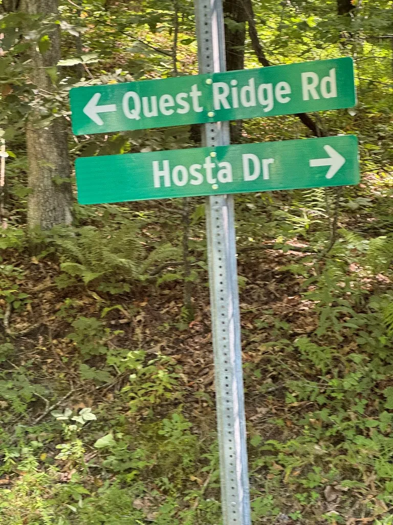Hosta Dr Sylva, NC 28779