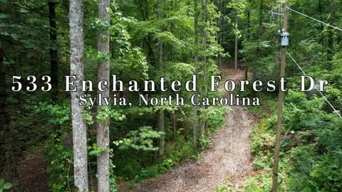 Enchanted Forest Drive