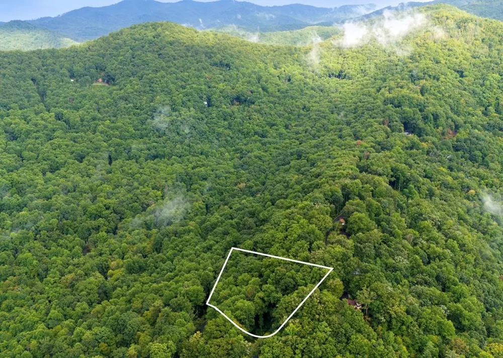 Young Cove Franklin, NC 28734