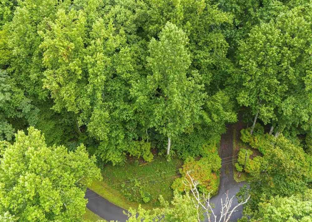 Young Cove Franklin, NC 28734