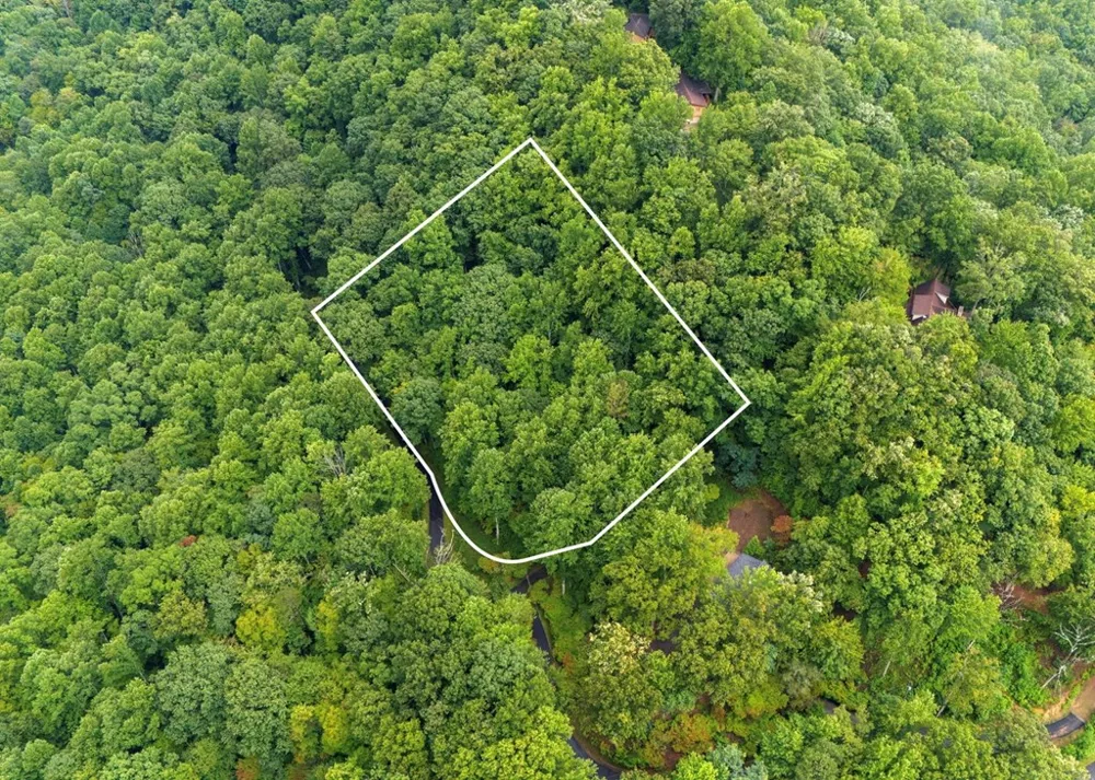 Young Cove Franklin, NC 28734