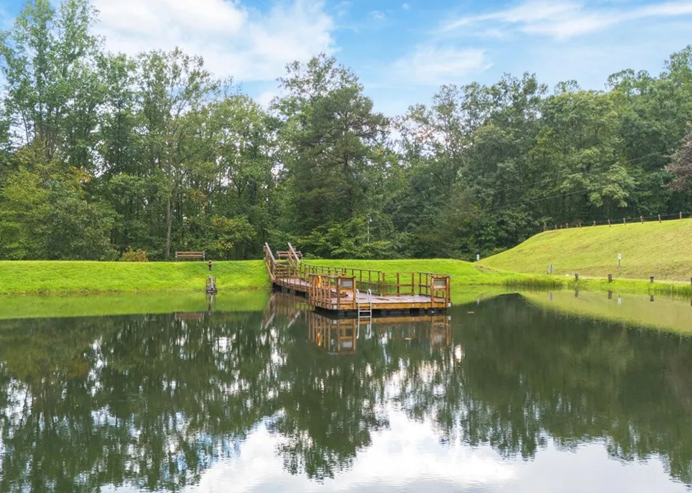 Young Cove Franklin, NC 28734