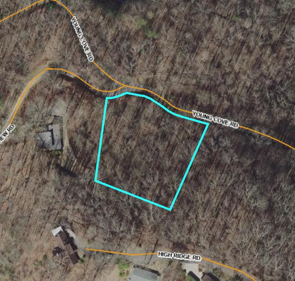 Young Cove Franklin, NC 28734