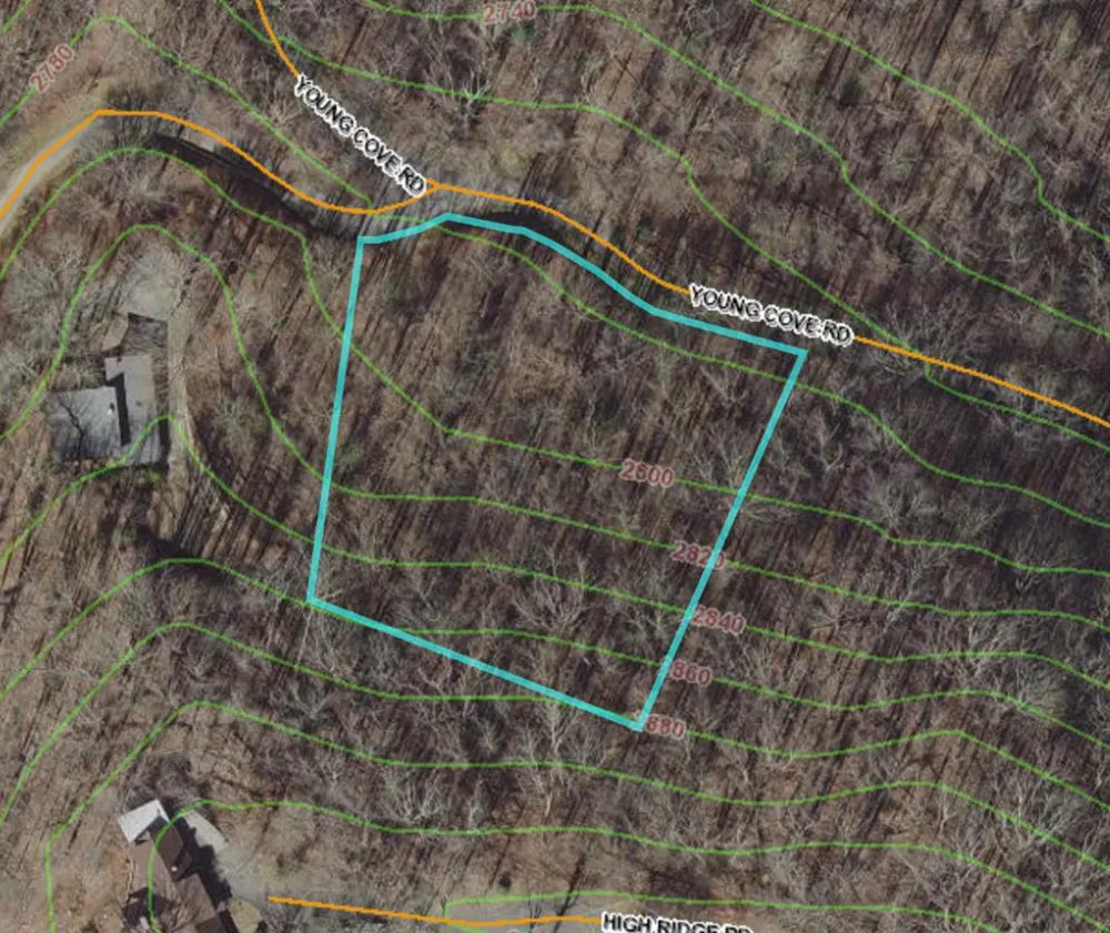 Young Cove Franklin, NC 28734
