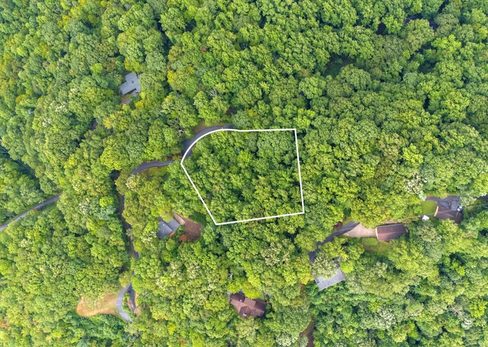 Young Cove Franklin, NC 28734