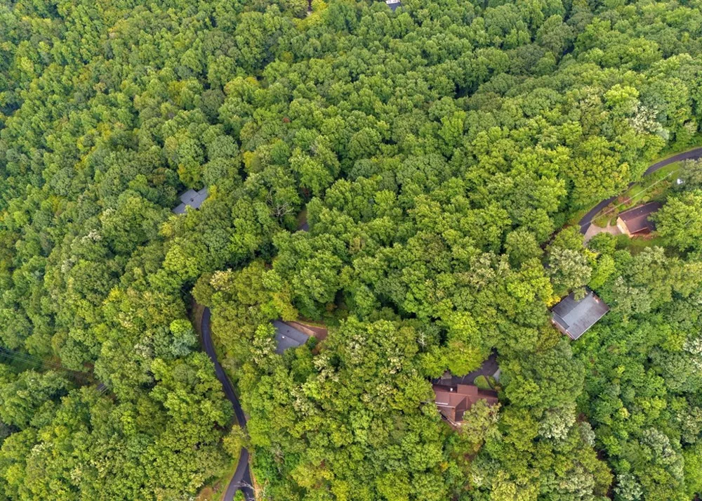Young Cove Franklin, NC 28734