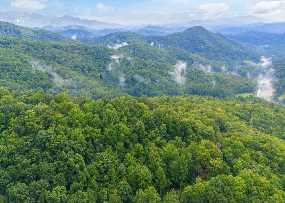 Young Cove Franklin, NC 28734