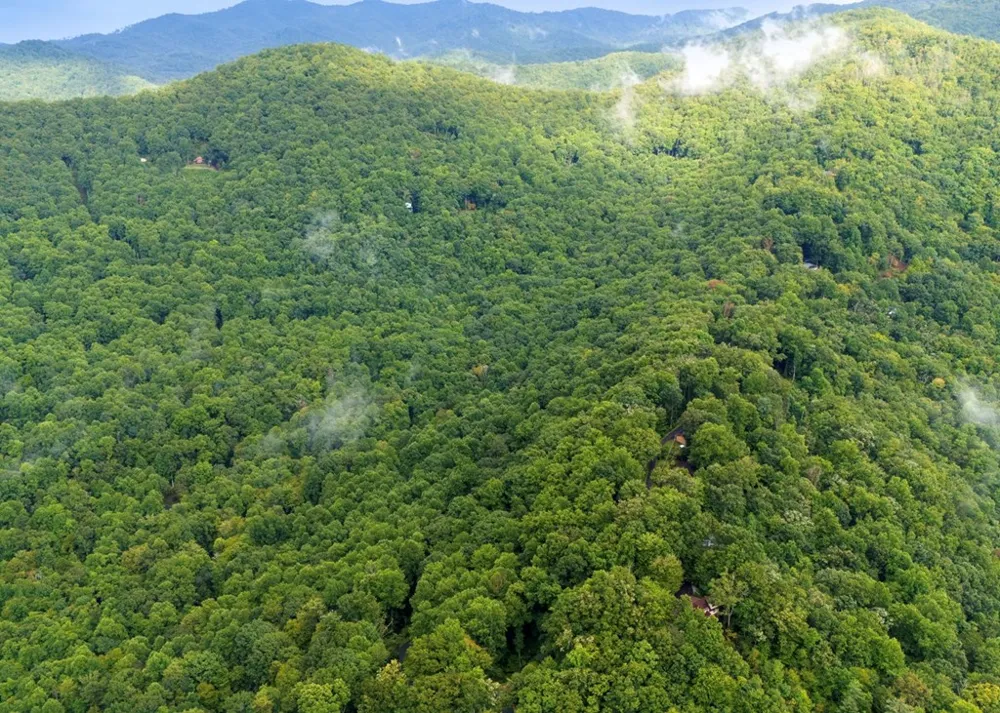 Young Cove Franklin, NC 28734