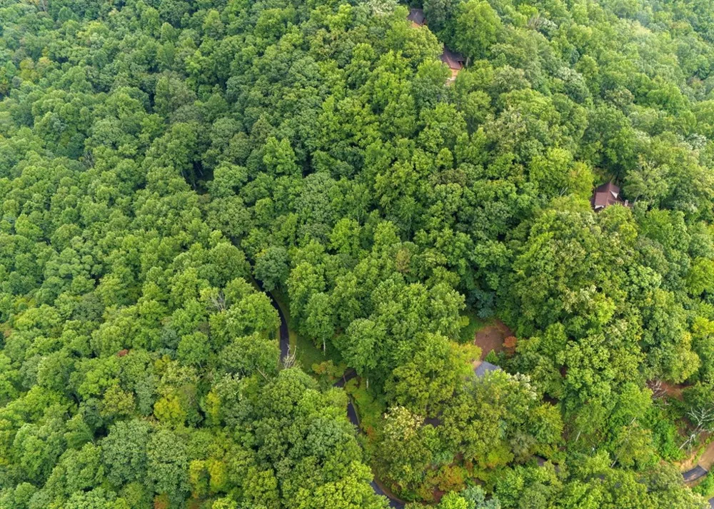 Young Cove Franklin, NC 28734