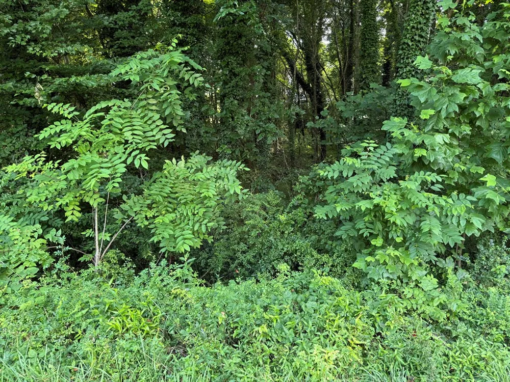 Medlin Road Franklin, NC 28734