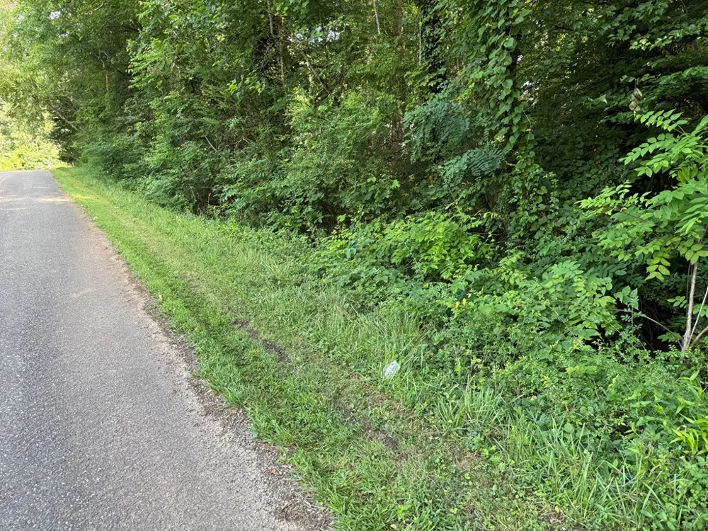Medlin Road Franklin, NC 28734