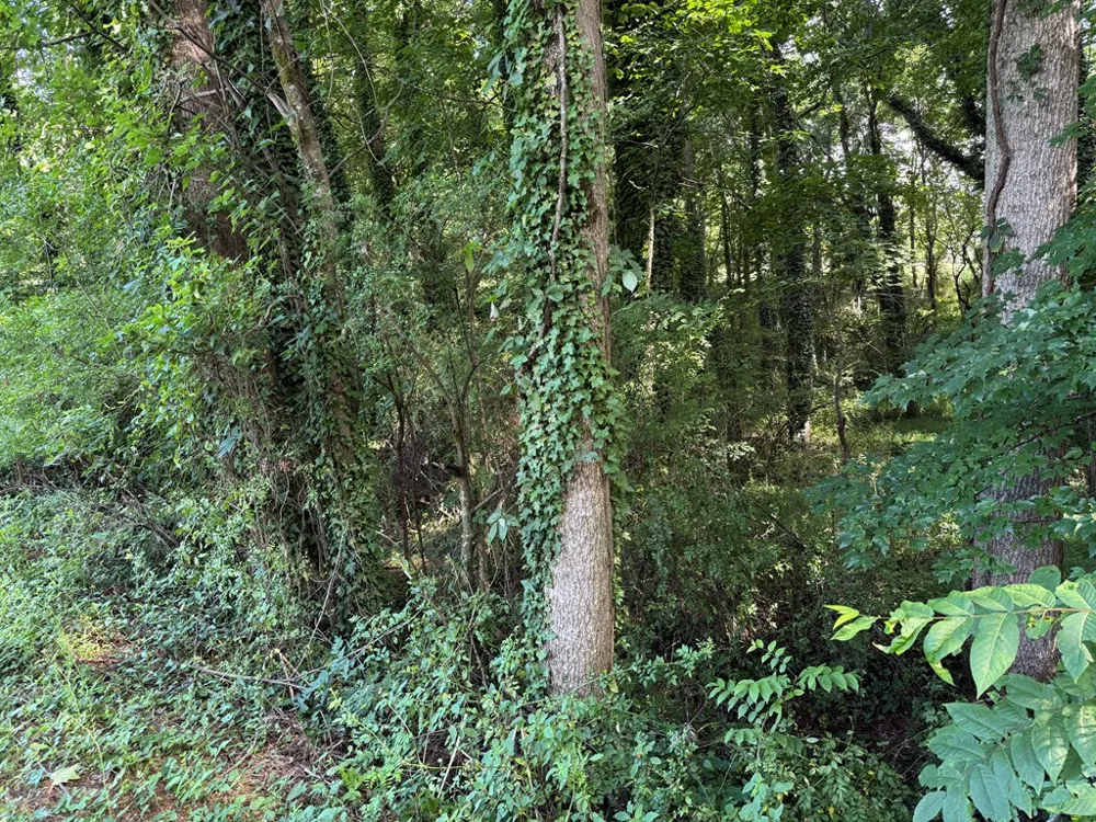 Medlin Road Franklin, NC 28734