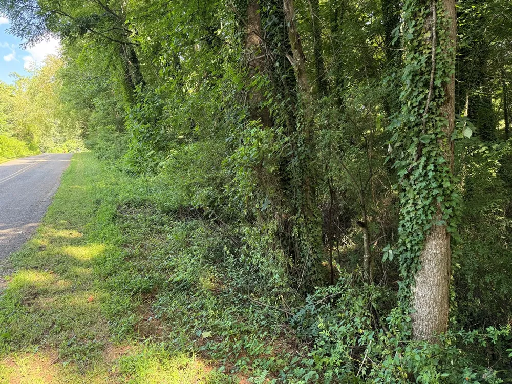 Medlin Road Franklin, NC 28734