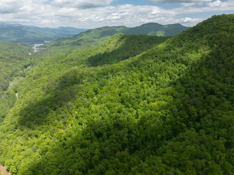 Lower Sawyers Creek Rd Robbinsville, NC 28771