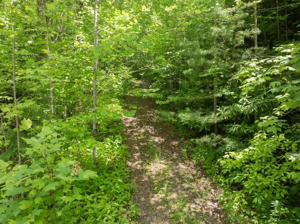 Lower Sawyers Creek Rd Robbinsville, NC 28771