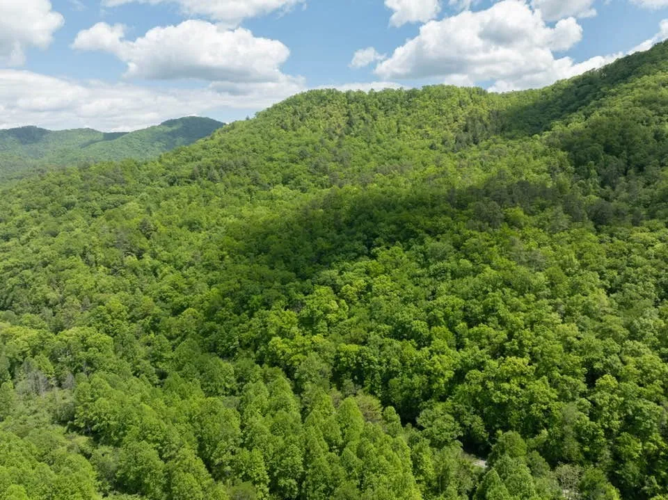 Lower Sawyers Creek Rd Robbinsville, NC 28771
