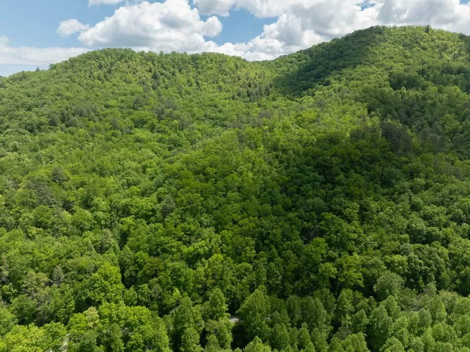 Lower Sawyers Creek Rd Robbinsville, NC 28771
