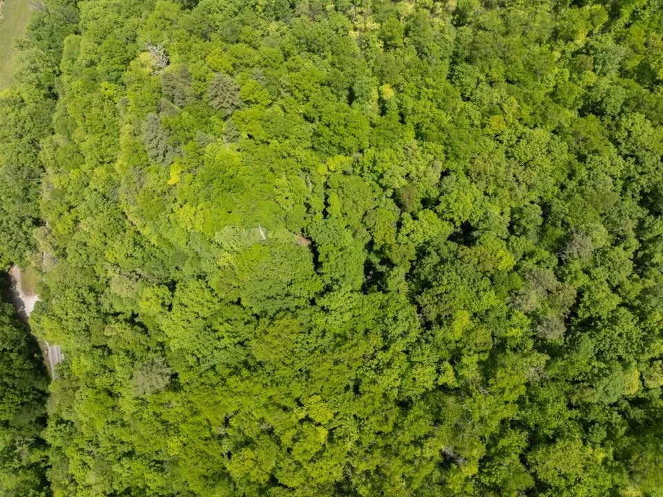 Lower Sawyers Creek Rd Robbinsville, NC 28771