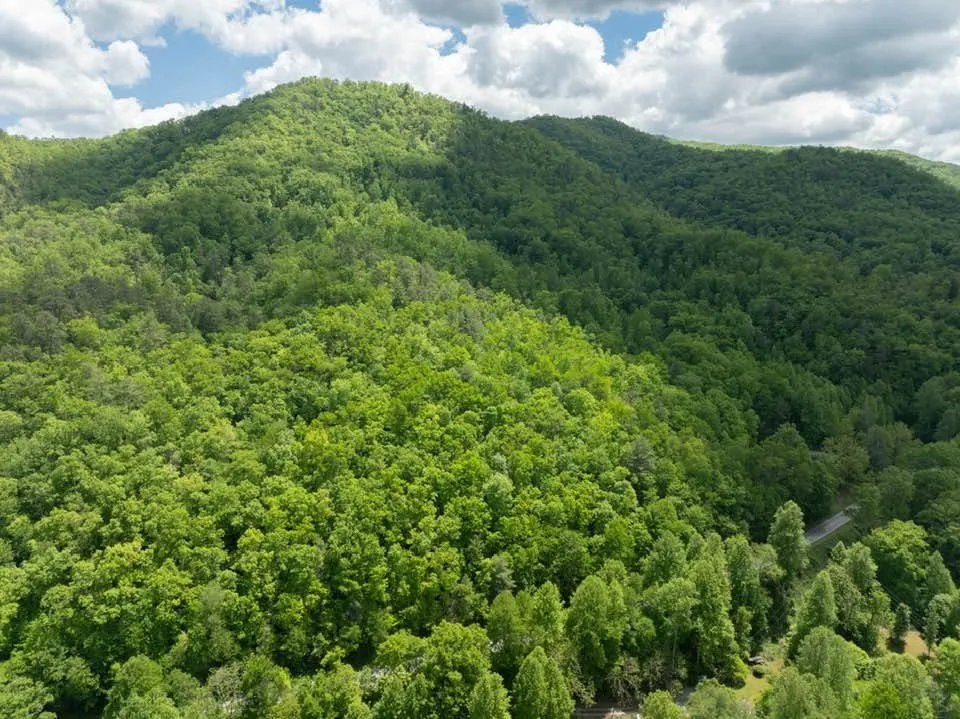 Lower Sawyers Creek Rd Robbinsville, NC 28771